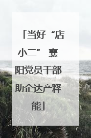 当好“店小二” 襄阳党员干部助企达产释能