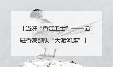 当好“香江卫士”——记驻香港部队“大渡河连”