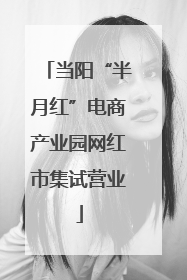 当阳“半月红”电商产业园网红市集试营业