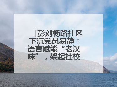 彭刘杨路社区下沉党员易静：语言赋能“老汉味”，架起社校“共建桥”