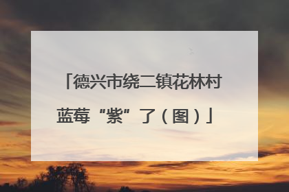 德兴市绕二镇花林村蓝莓“紫”了（图）