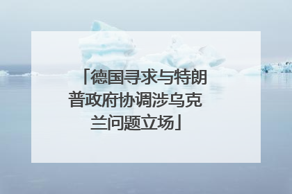 德国寻求与特朗普政府协调涉乌克兰问题立场