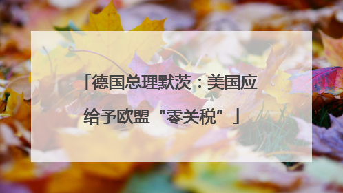 德国总理默茨：美国应给予欧盟“零关税”