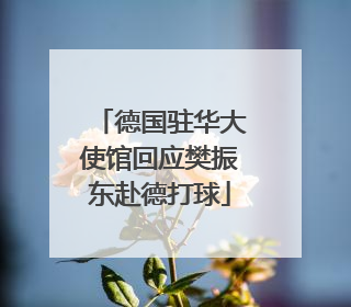 德国驻华大使馆回应樊振东赴德打球