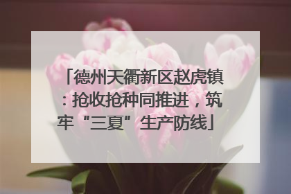 德州天衢新区赵虎镇：抢收抢种同推进，筑牢“三夏”生产防线