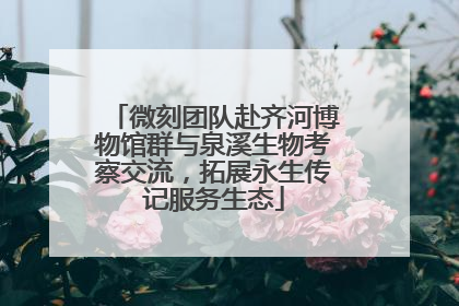 微刻团队赴齐河博物馆群与泉溪生物考察交流，拓展永生传记服务生态
