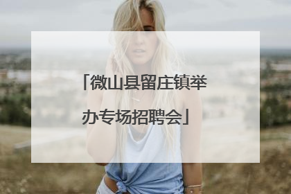 微山县留庄镇举办专场招聘会