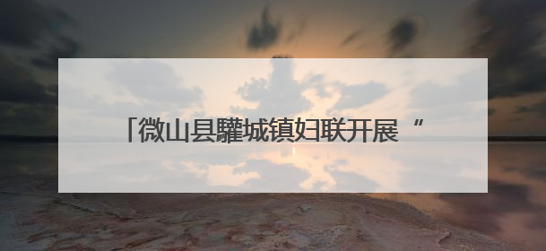 微山县驩城镇妇联开展“安全生产月”宣传活动
