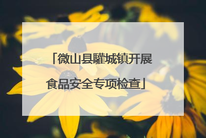 微山县驩城镇开展食品安全专项检查