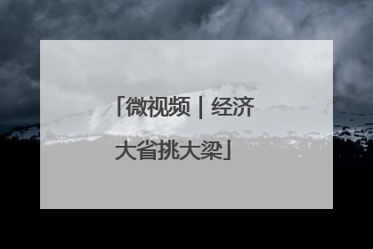 微视频｜经济大省挑大梁