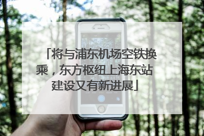 将与浦东机场空铁换乘，东方枢纽上海东站建设又有新进展