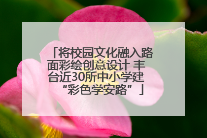 将校园文化融入路面彩绘创意设计 丰台近30所中小学建“彩色学安路”