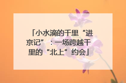 小水滴的千里“进京记”：一场跨越千里的“北上”约会
