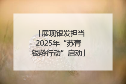 展现银发担当 2025年“苏青银龄行动”启动