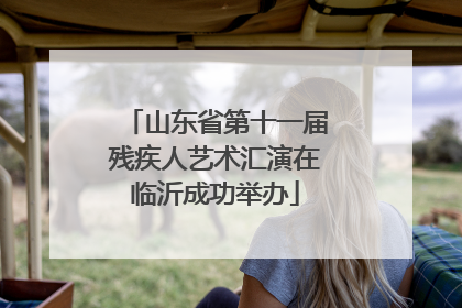 山东省第十一届残疾人艺术汇演在临沂成功举办