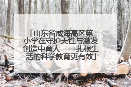 山东省威海高区第一小学在守护天性与激发创造中育人——扎根生活的科学教育更有效