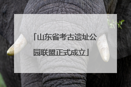 山东省考古遗址公园联盟正式成立