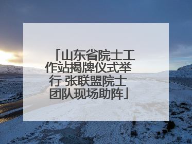 山东省院士工作站揭牌仪式举行 张联盟院士团队现场助阵