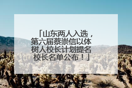 山东两人入选，第六届蔡崇信以体树人校长计划提名校长名单公布！