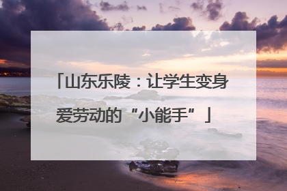 山东乐陵：让学生变身爱劳动的“小能手”