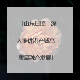 山东日照：深入推进港产城高质量融合发展