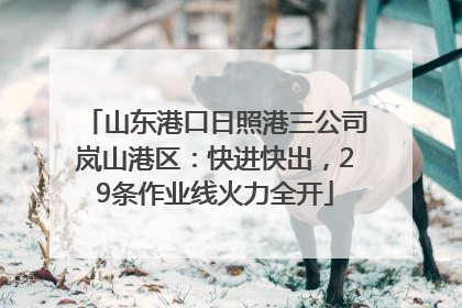 山东港口日照港三公司岚山港区：快进快出，29条作业线火力全开