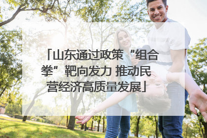 山东通过政策“组合拳”靶向发力 推动民营经济高质量发展