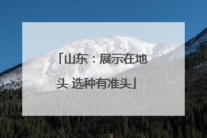 山东：展示在地头 选种有准头