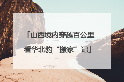 山西境内穿越百公里 看华北豹“搬家”记
