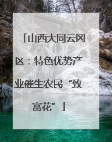 山西大同云冈区：特色优势产业催生农民“致富花”