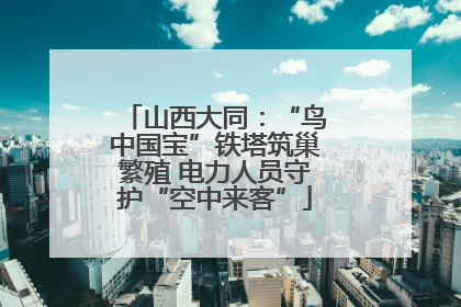 山西大同：“鸟中国宝”铁塔筑巢繁殖 电力人员守护“空中来客”
