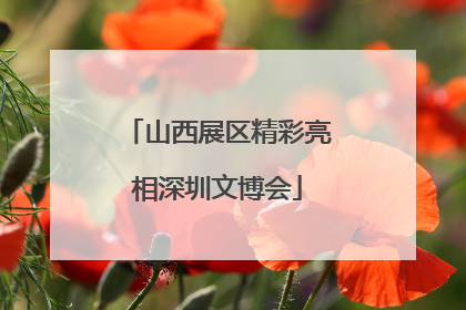 山西展区精彩亮相深圳文博会