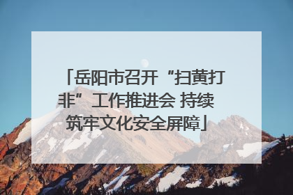 岳阳市召开“扫黄打非”工作推进会 持续筑牢文化安全屏障