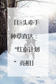 巨头牵手种草直达：“红京计划”亮相