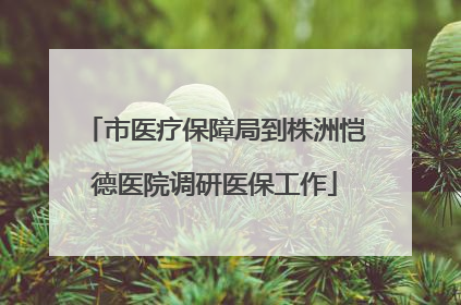 市医疗保障局到株洲恺德医院调研医保工作