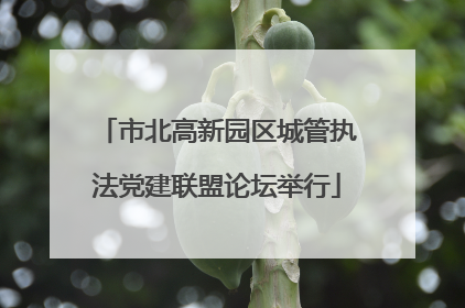 市北高新园区城管执法党建联盟论坛举行