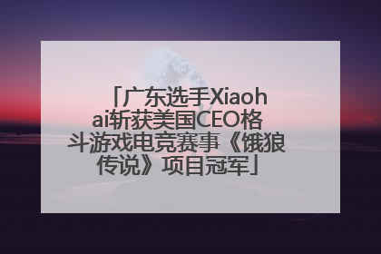 广东选手Xiaohai斩获美国CEO格斗游戏电竞赛事《饿狼传说》项目冠军