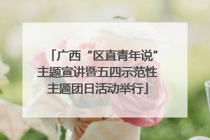 广西“区直青年说”主题宣讲暨五四示范性主题团日活动举行