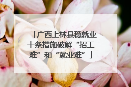广西上林县稳就业十条措施破解“招工难”和“就业难”