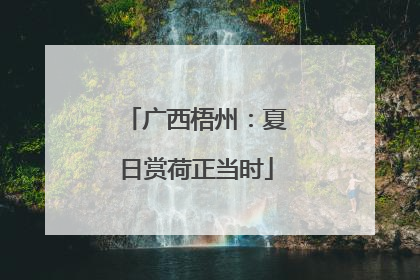 广西梧州：夏日赏荷正当时
