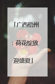 广西梧州：荷花绽放迎盛夏