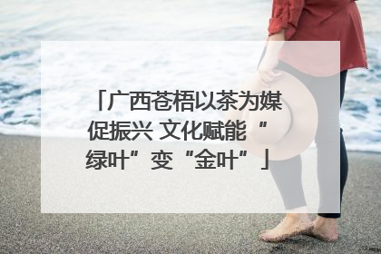 广西苍梧以茶为媒促振兴 文化赋能“绿叶”变“金叶”