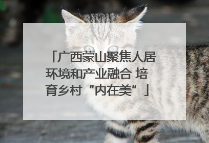 广西蒙山聚焦人居环境和产业融合 培育乡村“内在美”