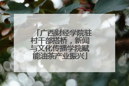 广西财经学院驻村干部搭桥，新闻与文化传播学院赋能油茶产业振兴
