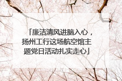 廉洁清风进脑入心，扬州工行这场航空馆主题党日活动扎实走心