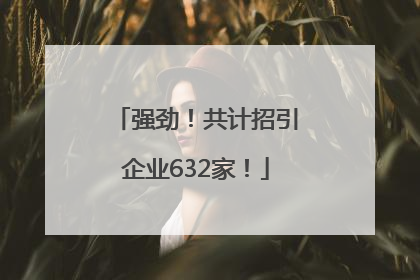 强劲！共计招引企业632家！