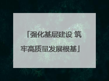 强化基层建设 筑牢高质量发展根基
