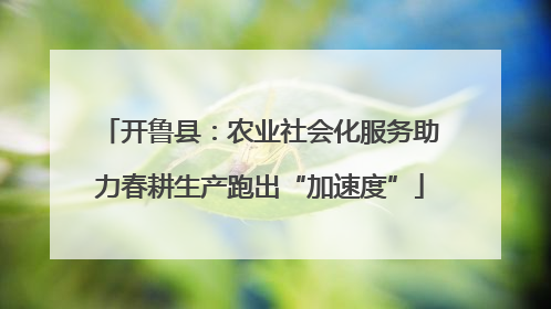 开鲁县：农业社会化服务助力春耕生产跑出“加速度”
