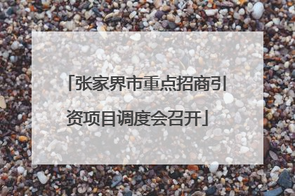 张家界市重点招商引资项目调度会召开