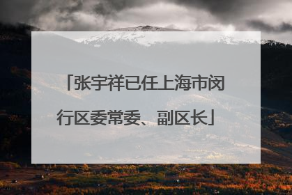 张宇祥已任上海市闵行区委常委、副区长